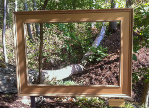 Picture frame in nature